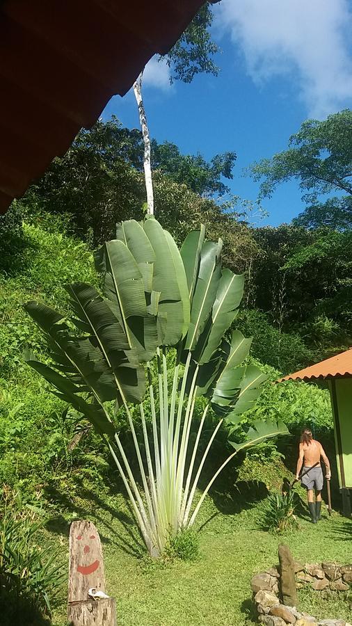 Villa Casita Rio Indio à Nombre de Dios Extérieur photo