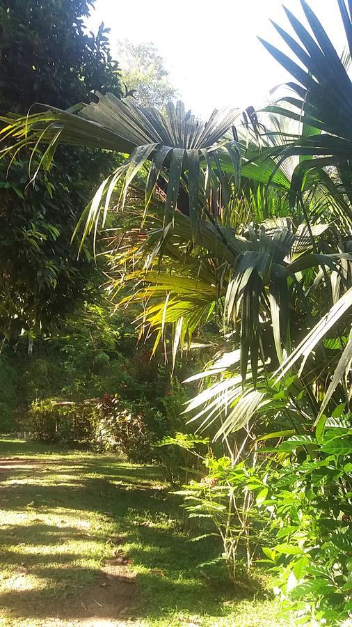 Villa Casita Rio Indio à Nombre de Dios Extérieur photo