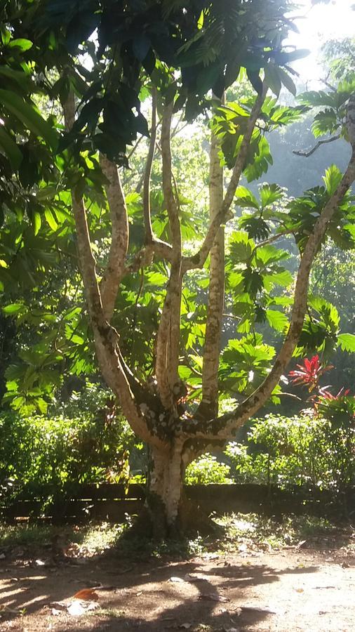 Villa Casita Rio Indio à Nombre de Dios Extérieur photo